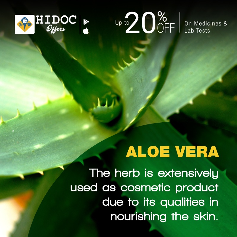 Health Tip - Aloe Vera - The herb is extensively used as cosmetic product due to its qualities in nourishing the skin.