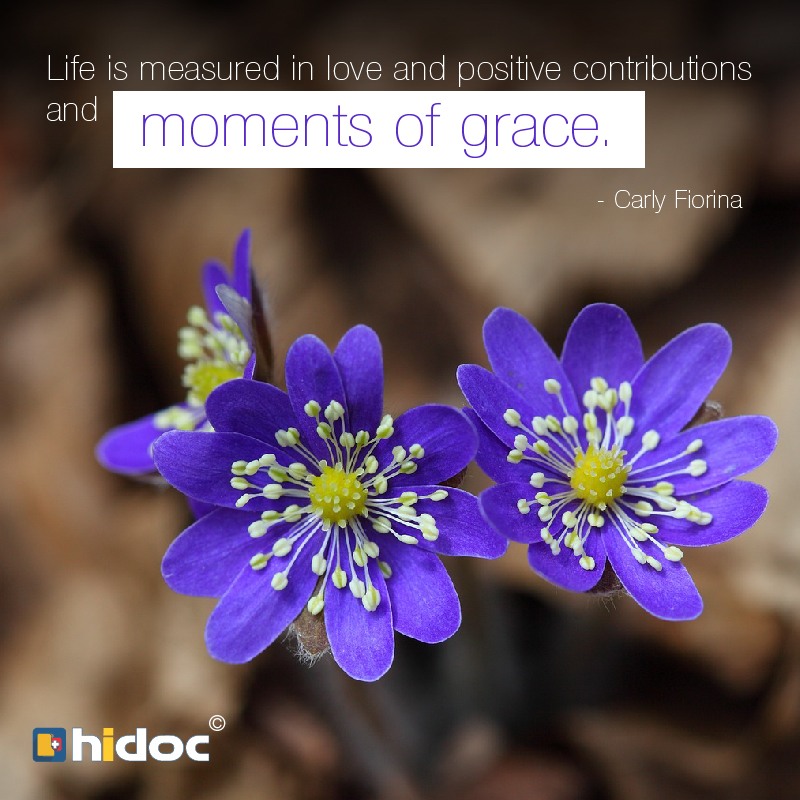 Health Tip - Life is measured in love and positive contributions and moments of grace.