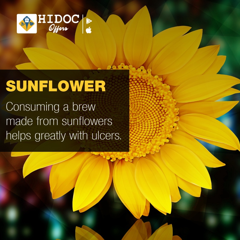 Health Tip - Sunflower...Consuming a brew  made from sunflowers  helps greatly with ulcers